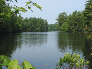 Haris Pond